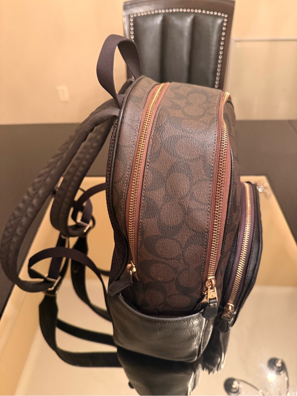 Coach Dark Brown Signature Mini Backpack with Gold Hardware - Picture 8 of 9